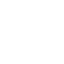 Claude Test Org Logo